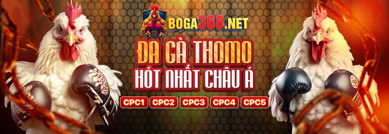 Hình ảnh minh họa các lợi ích khi chơi tại SCV288